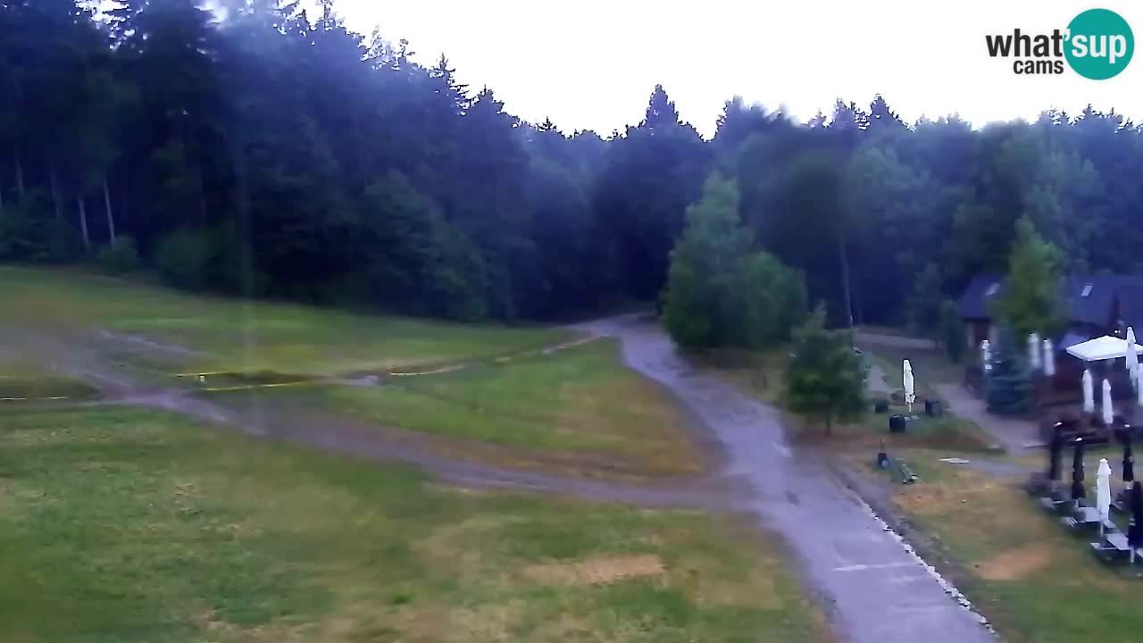 Webcam Pohorje Trikotna Jasa | Poštela