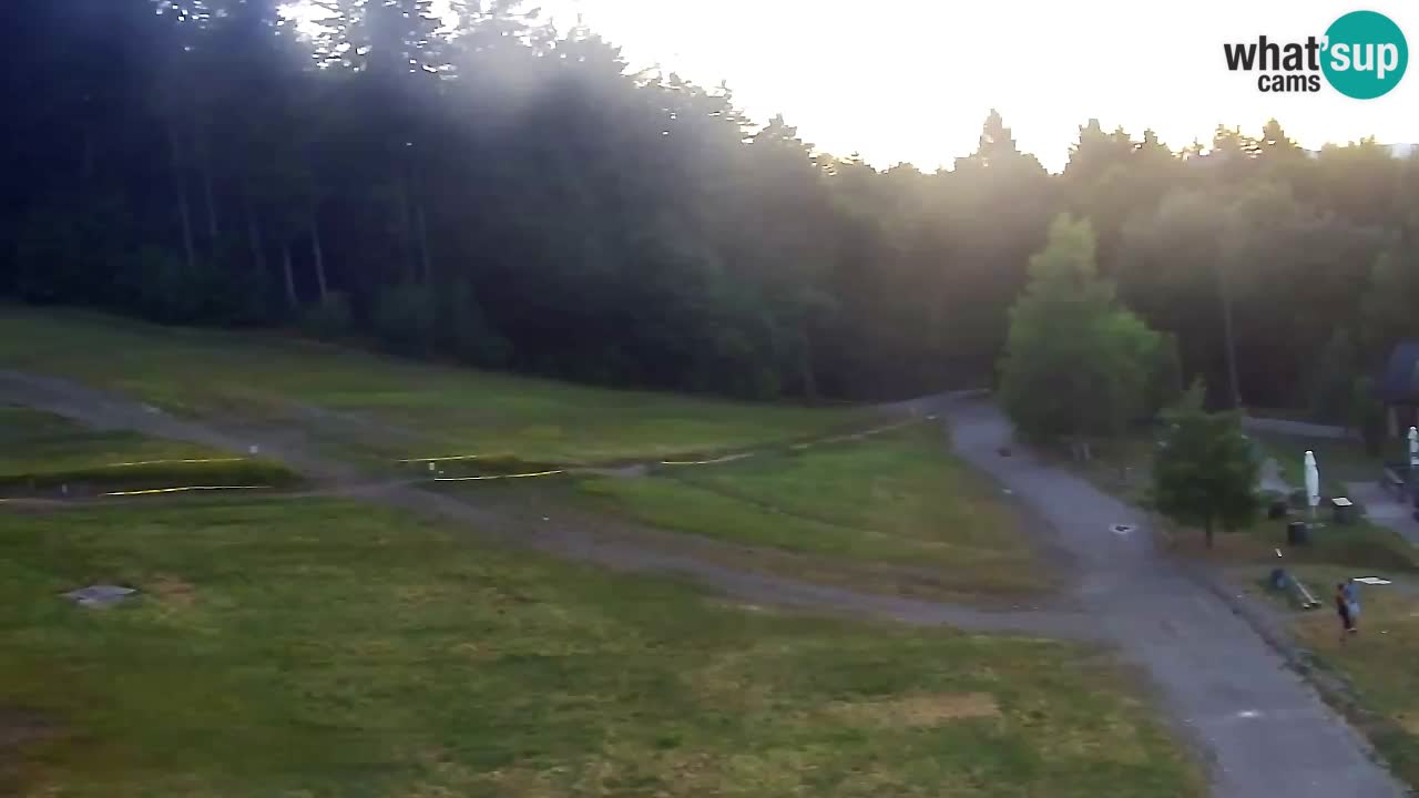 Webcam Pohorje Trikotna Jasa | Poštela