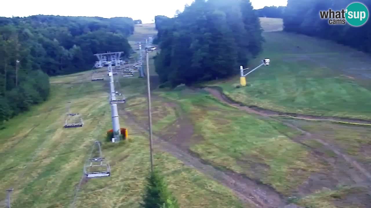 Webcam Pohorje Trikotna Jasa | Poštela