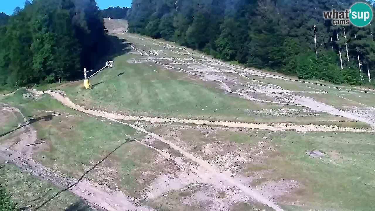 Webcam Pohorje Trikotna Jasa | Poštela