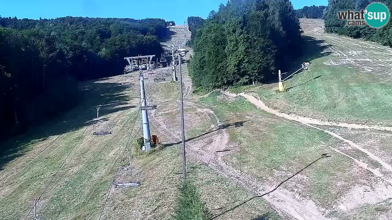 Webcam Pohorje Trikotna Jasa | Poštela