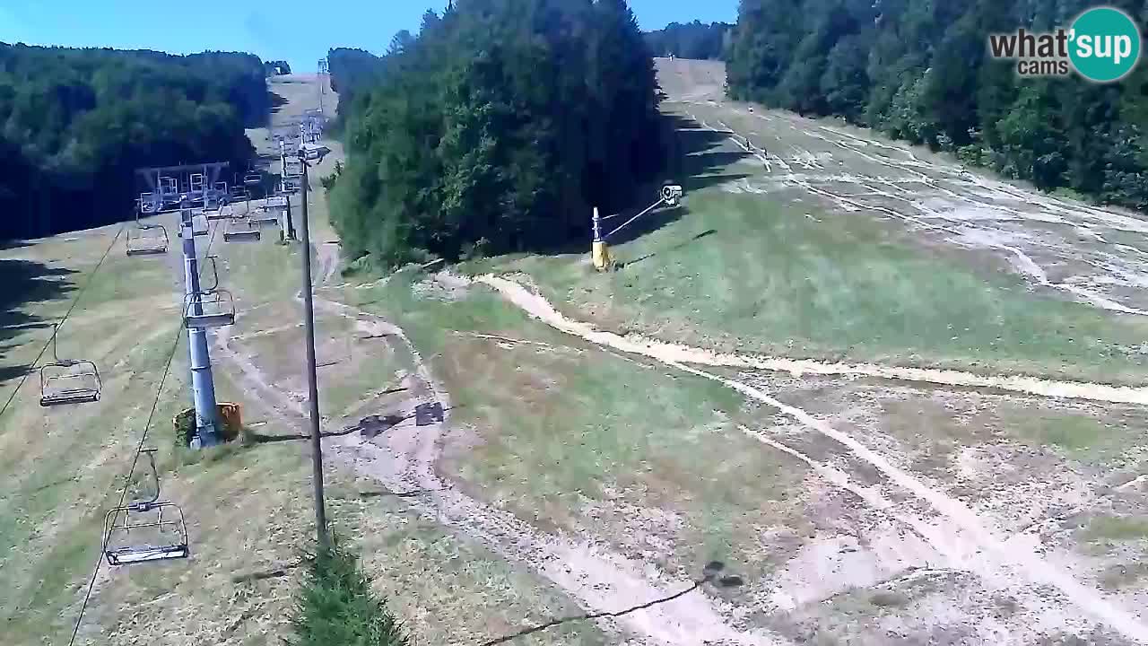 Webcam Pohorje Trikotna Jasa | Poštela