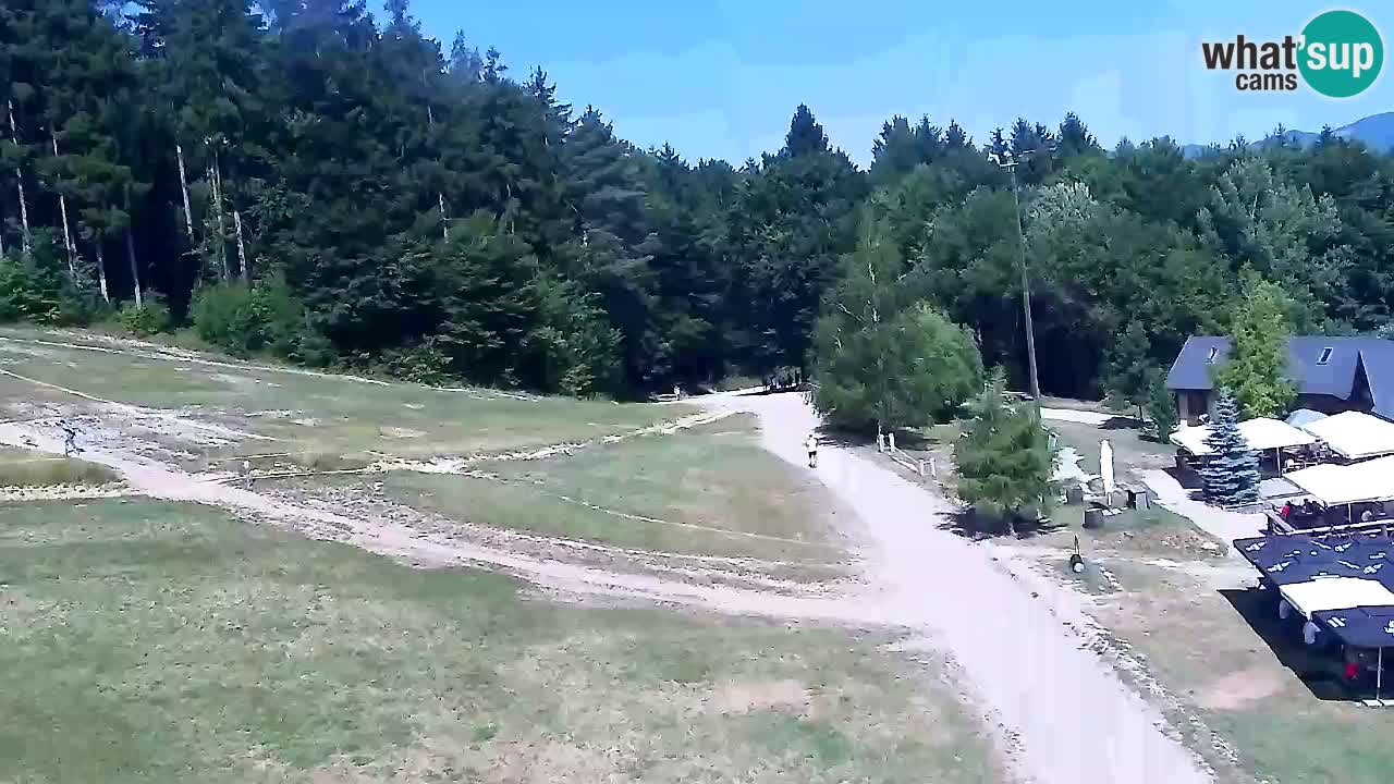 Webcam Pohorje Trikotna Jasa | Poštela