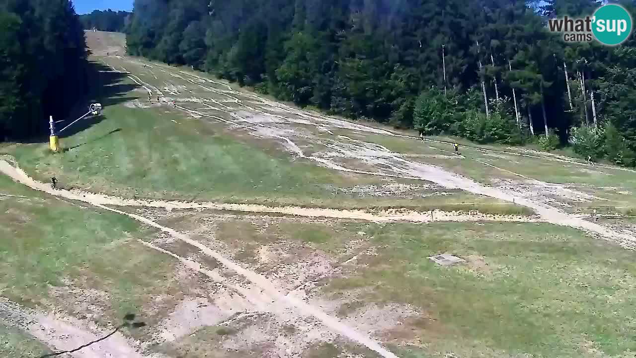 Webcam Pohorje Trikotna Jasa | Poštela