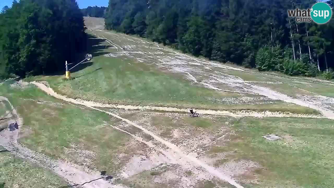Web kamera Pohorje Trikotna Jasa | Poštela