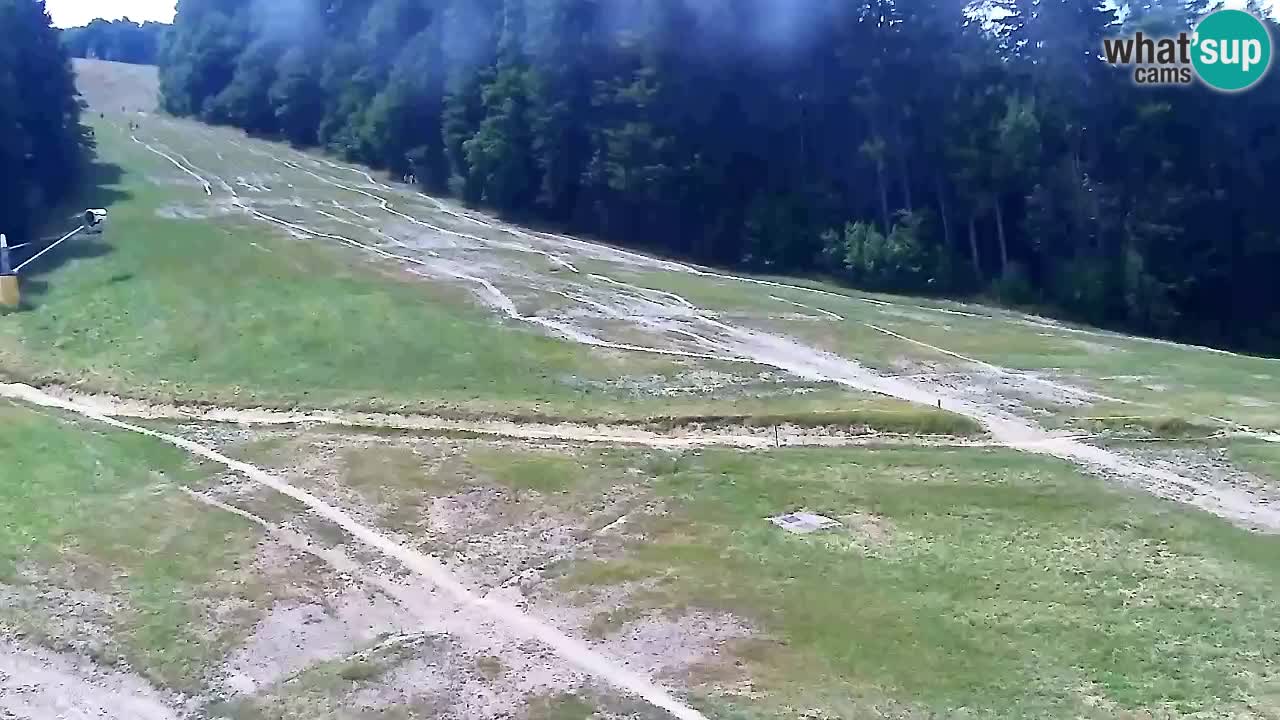 Spletna Kamera Pohorje Trikotna Jasa | Poštela