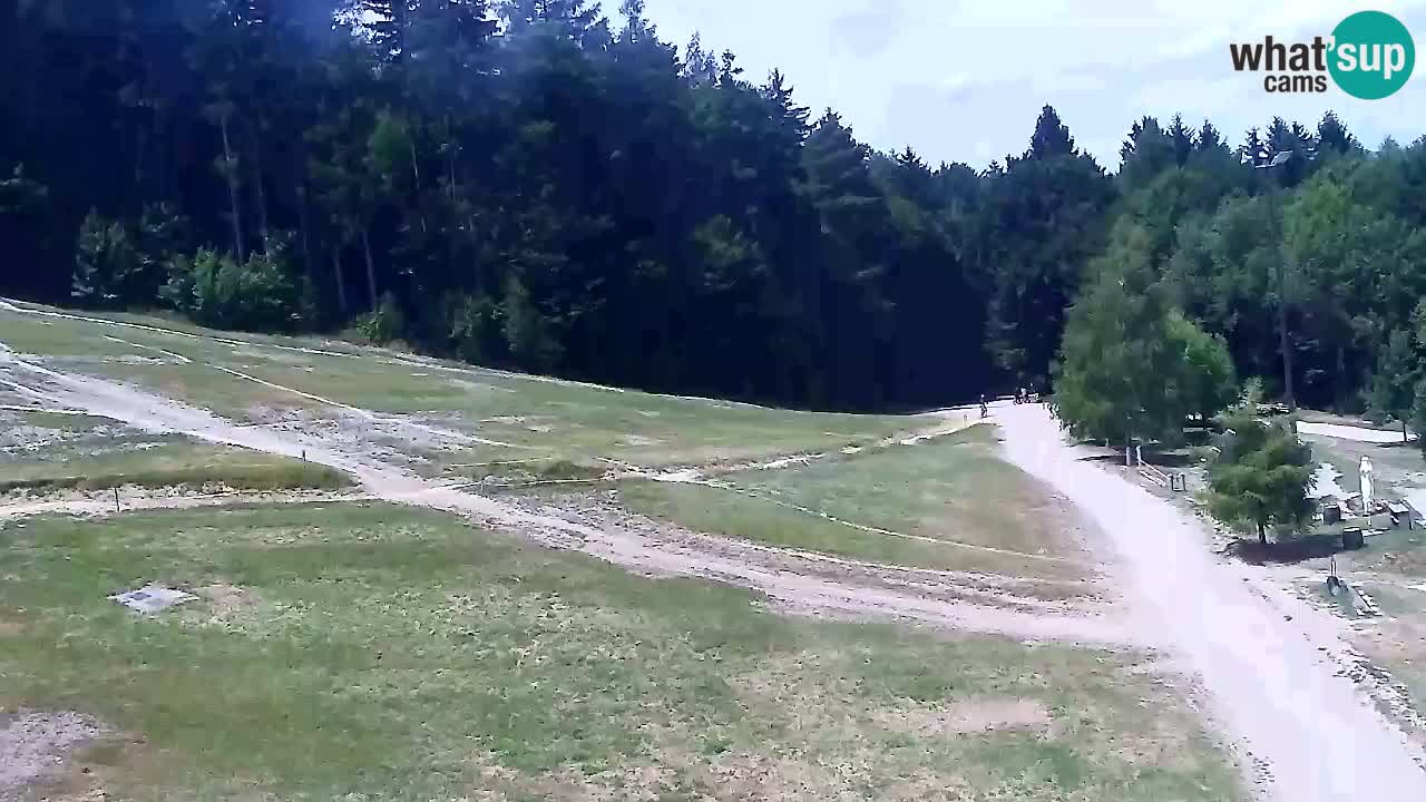 Webcam Pohorje Trikotna Jasa | Poštela