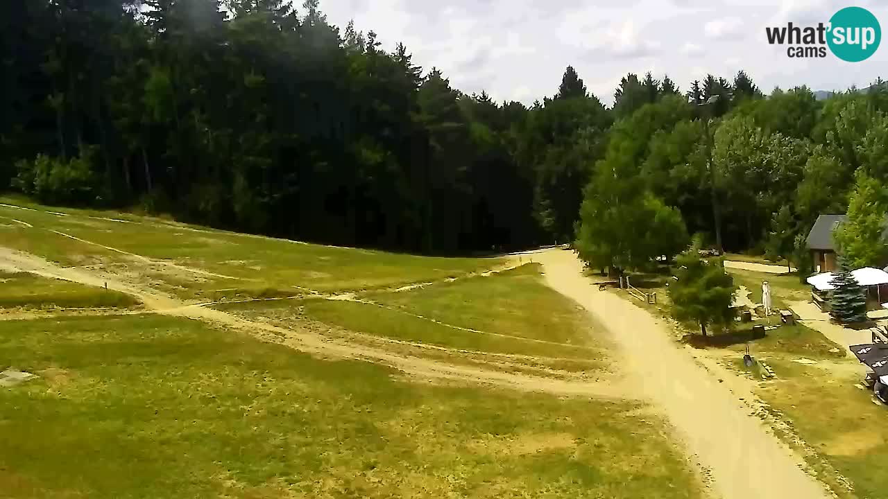Webcam Pohorje Trikotna Jasa | Poštela