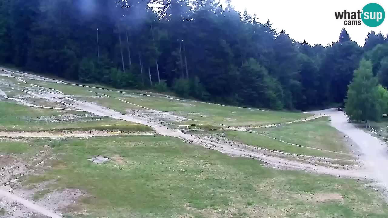 Webcam Pohorje Trikotna Jasa | Poštela