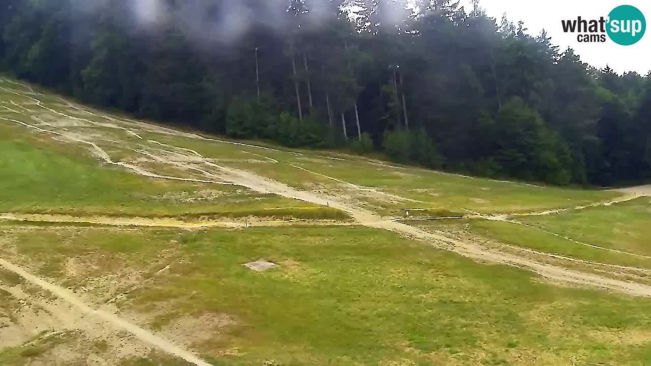 Webcam Pohorje Trikotna Jasa | Poštela