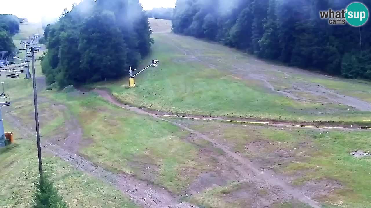 Webcam Pohorje Trikotna Jasa | Poštela
