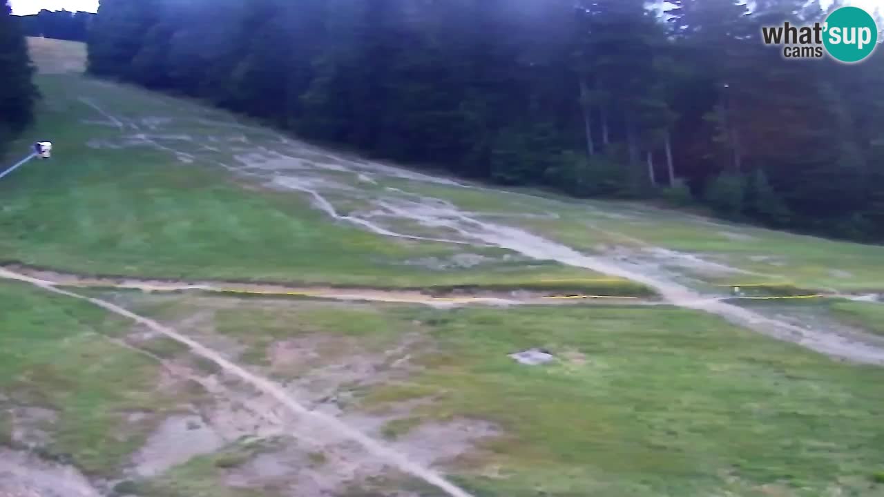 Webcam Pohorje Trikotna Jasa | Poštela