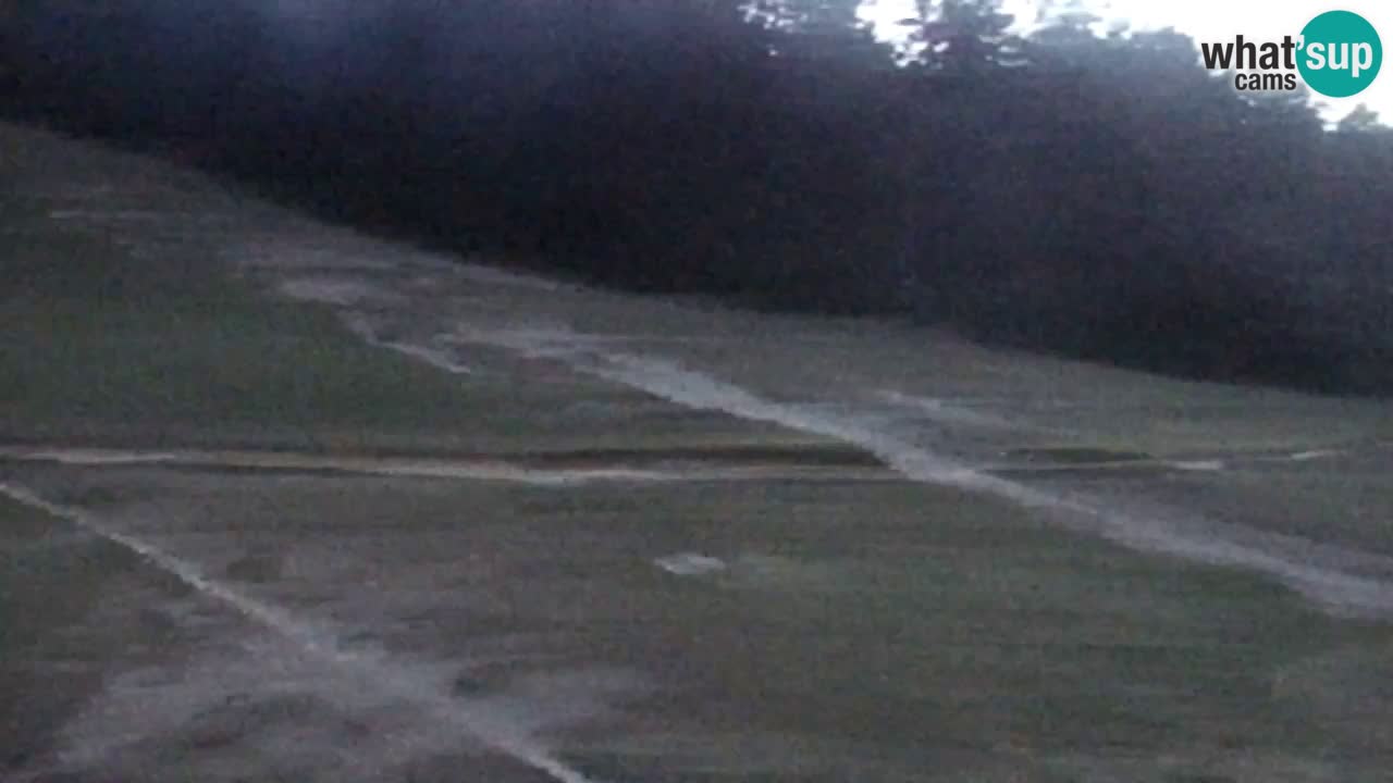 Webcam Pohorje Trikotna Jasa | Poštela