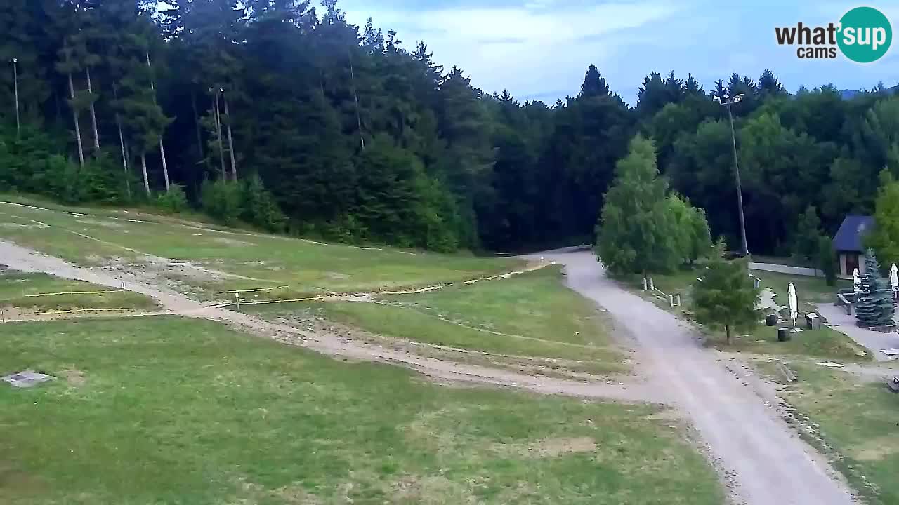 Webcam Pohorje Trikotna Jasa | Poštela