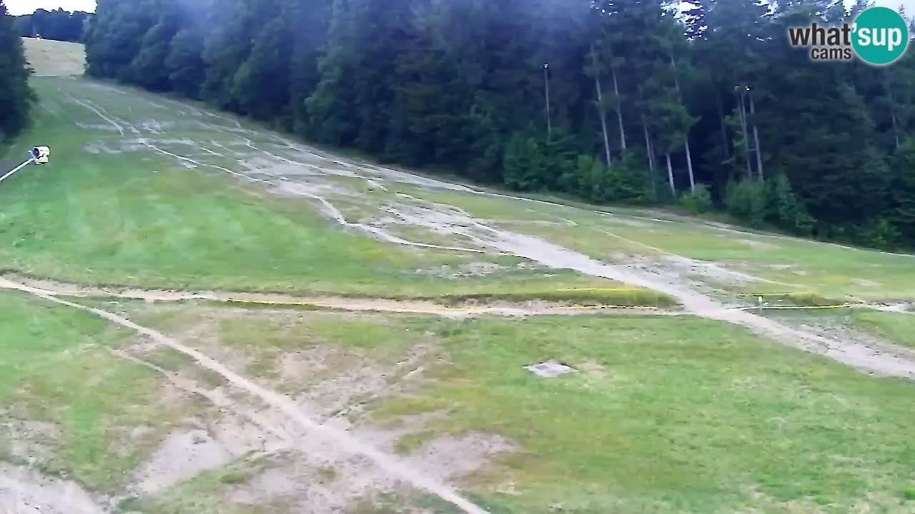 Web Camera Pohorje Trikotna Jasa | Poštela