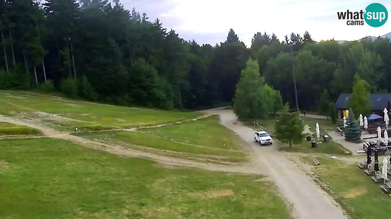 Web Camera Pohorje Trikotna Jasa | Poštela