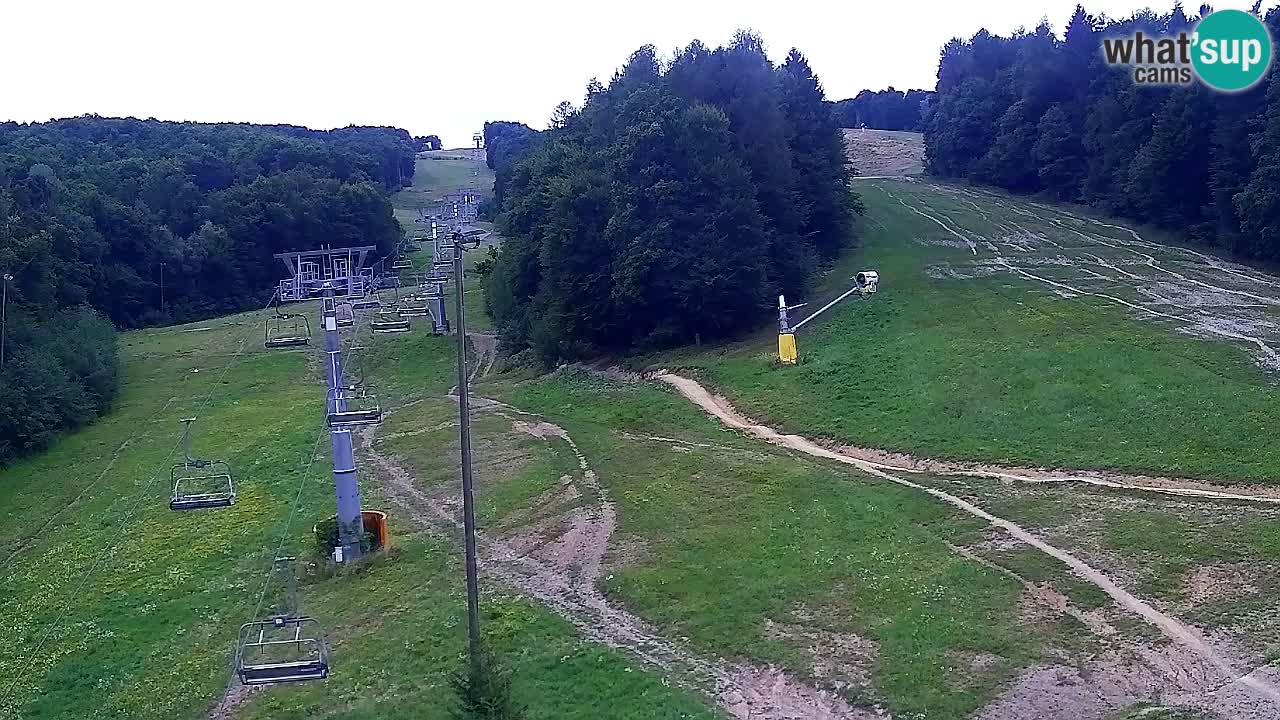 Webcam Pohorje Trikotna Jasa | Poštela