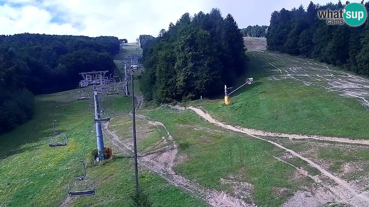Webcam Pohorje Trikotna Jasa | Poštela