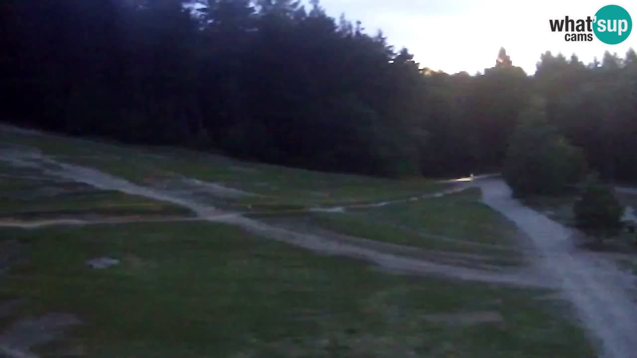 Webcam Pohorje Trikotna Jasa | Poštela