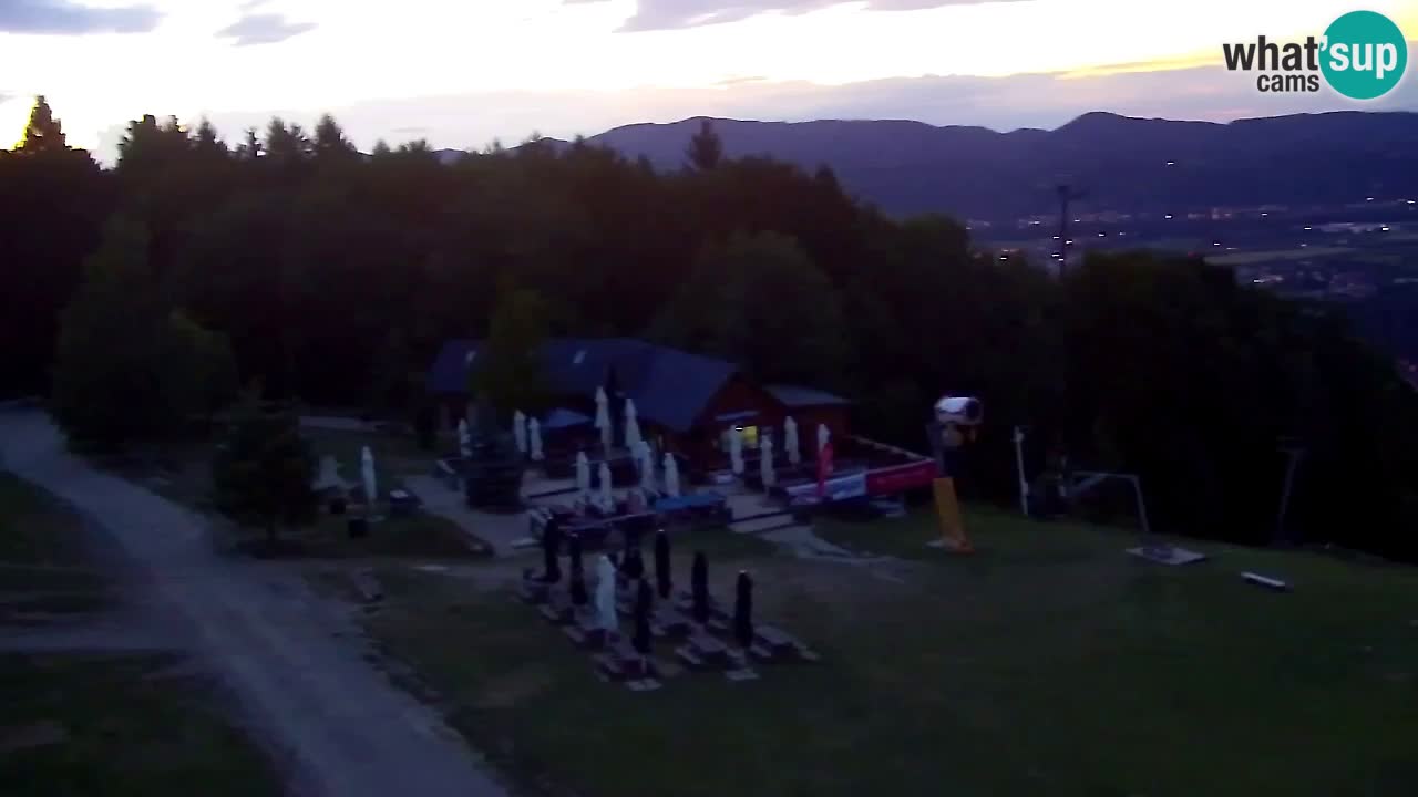 Webcam Pohorje Trikotna Jasa | Poštela