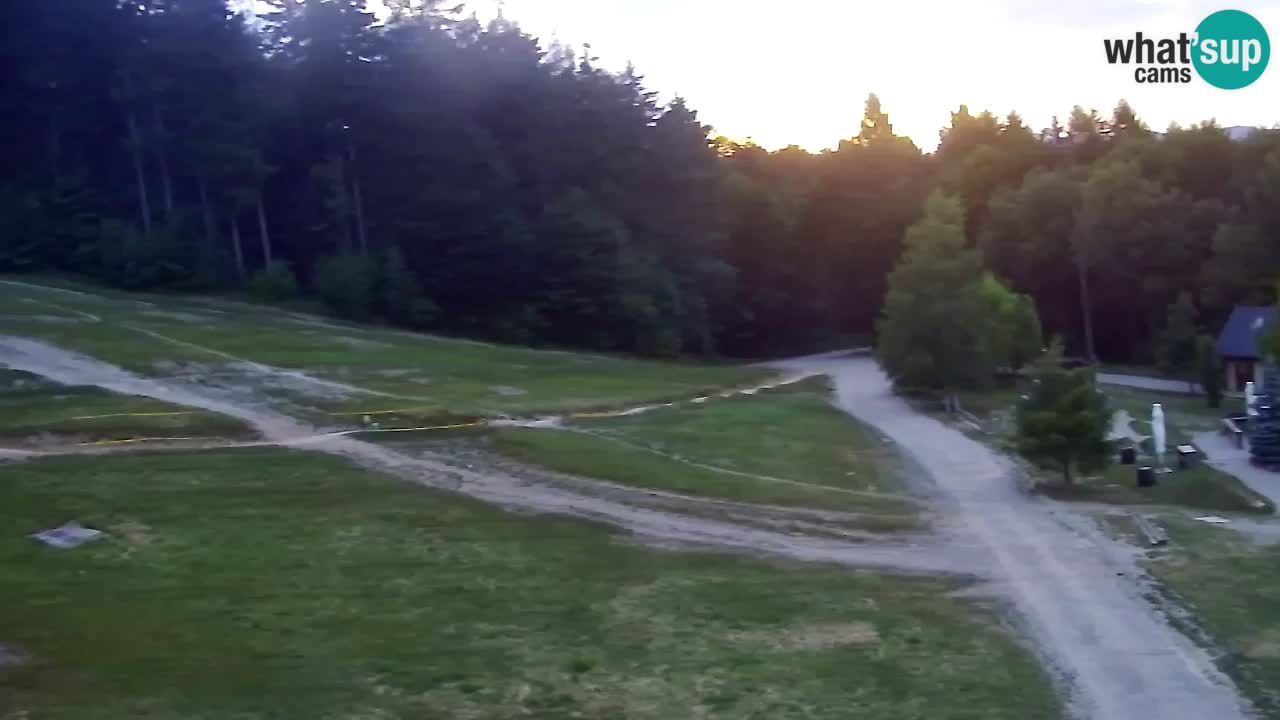 Webcam Pohorje Trikotna Jasa | Poštela