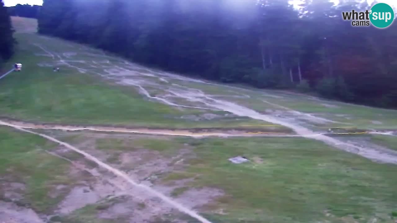 Spletna Kamera Pohorje Trikotna Jasa | Poštela