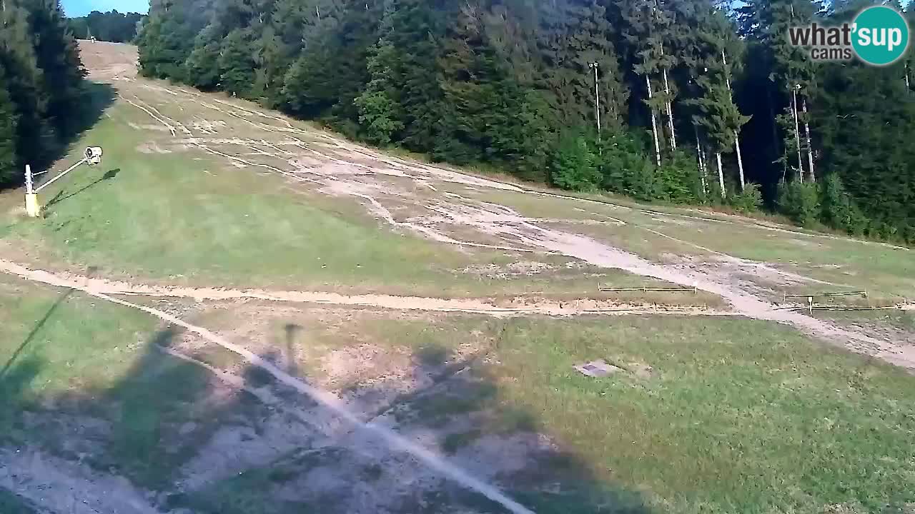 Web Camera Pohorje Trikotna Jasa | Poštela