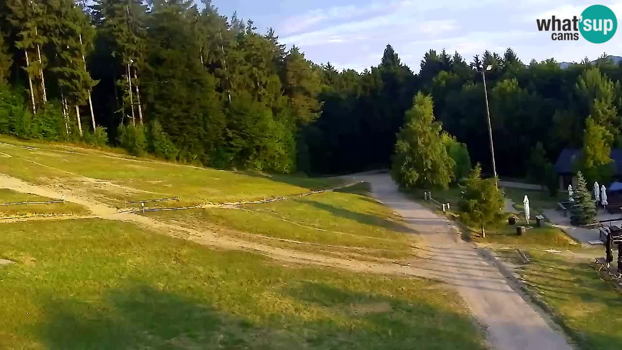 Webcam Pohorje Trikotna Jasa | Poštela