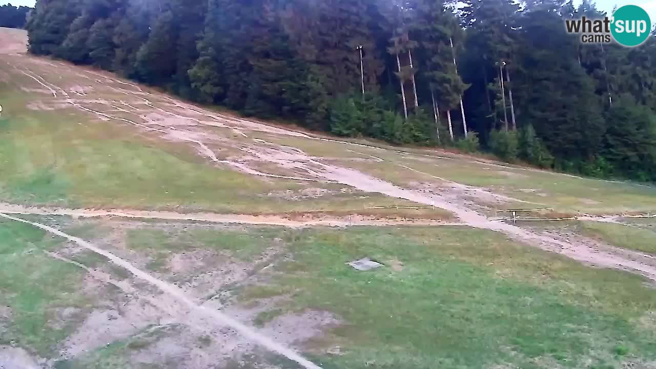 Web kamera Pohorje Trikotna Jasa | Poštela