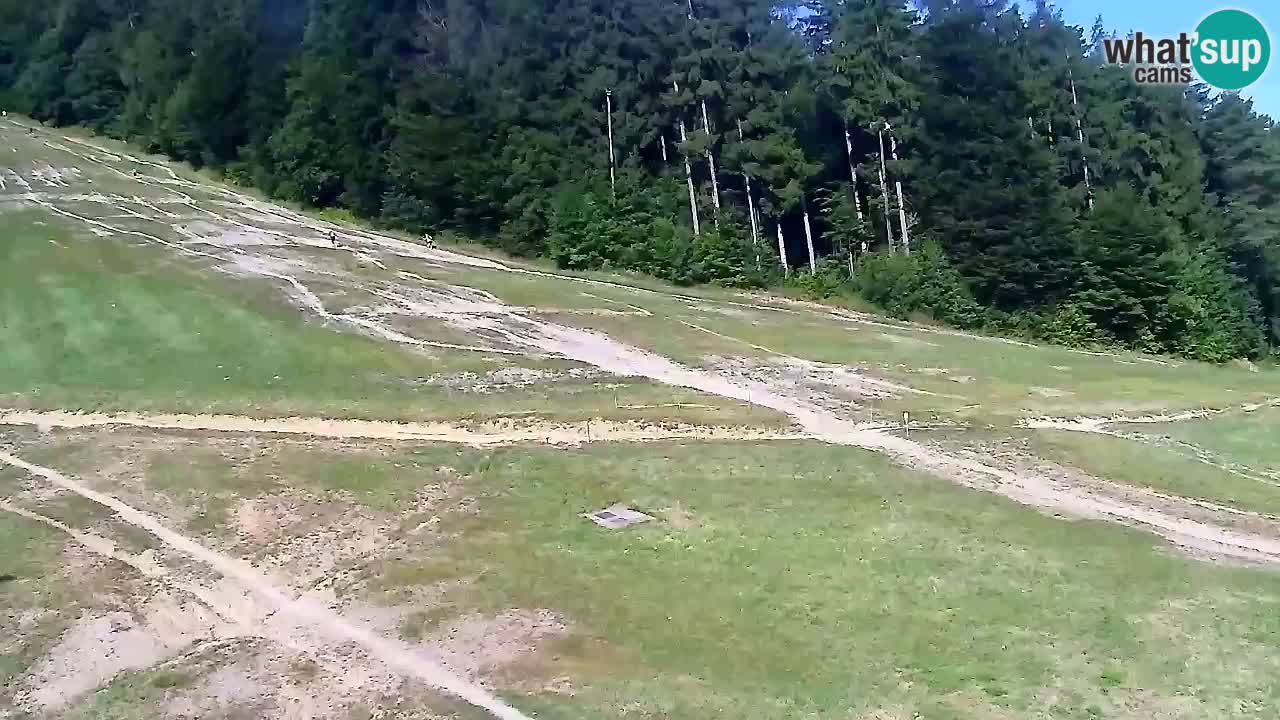 Web Camera Pohorje Trikotna Jasa | Poštela