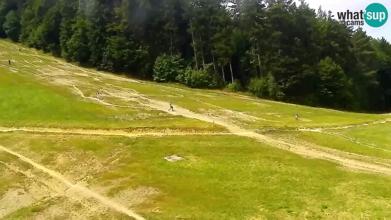 Webcam Pohorje Trikotna Jasa | Poštela