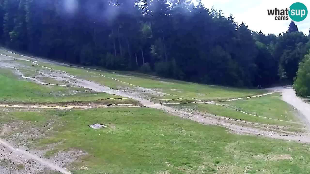 Webcam Pohorje Trikotna Jasa | Poštela