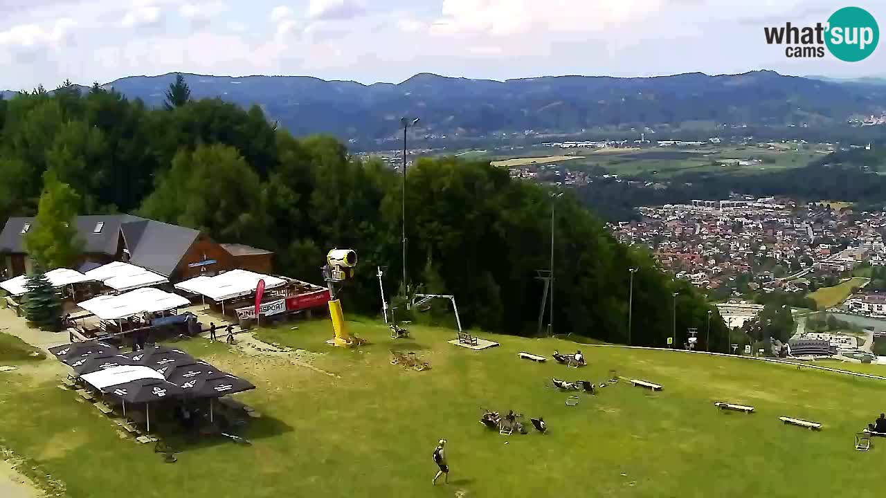 Webcam Pohorje Trikotna Jasa | Poštela