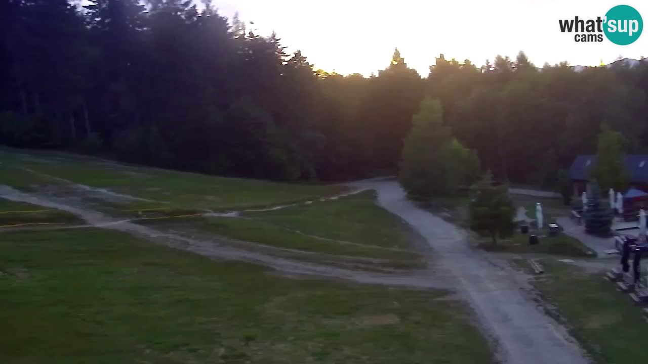 Webcam Pohorje Trikotna Jasa | Poštela