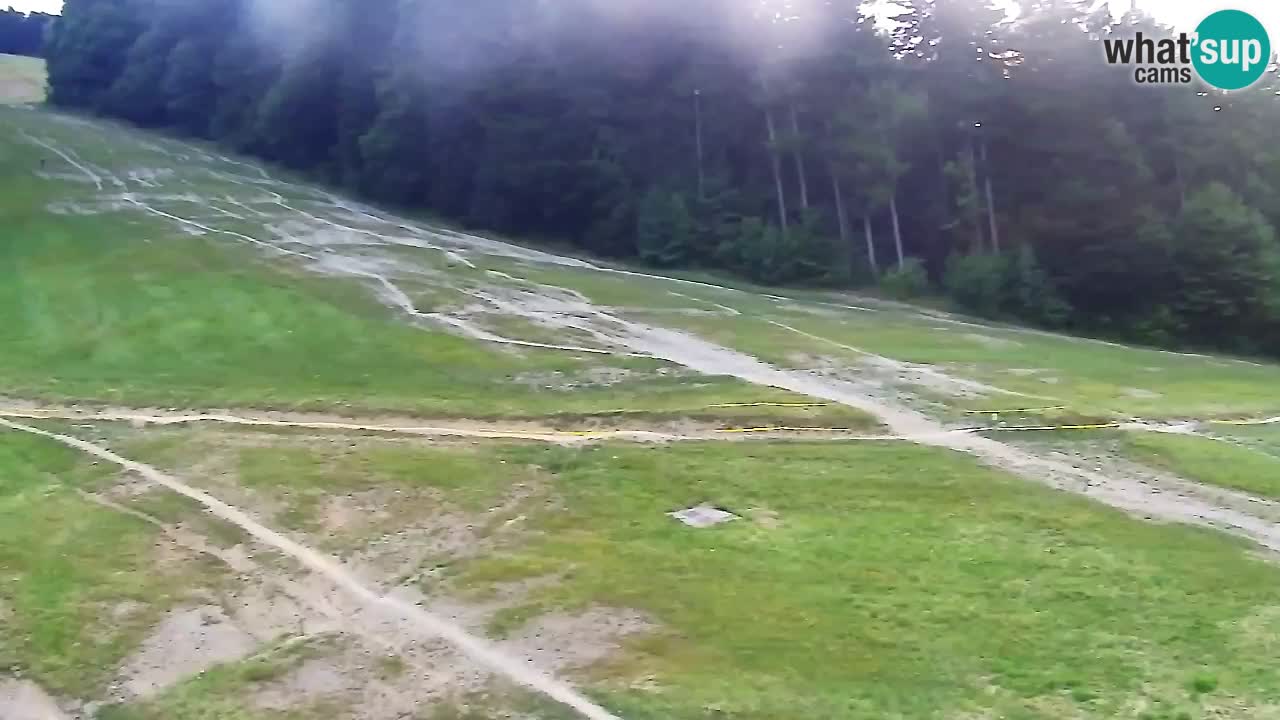 Webcam Pohorje Trikotna Jasa | Poštela