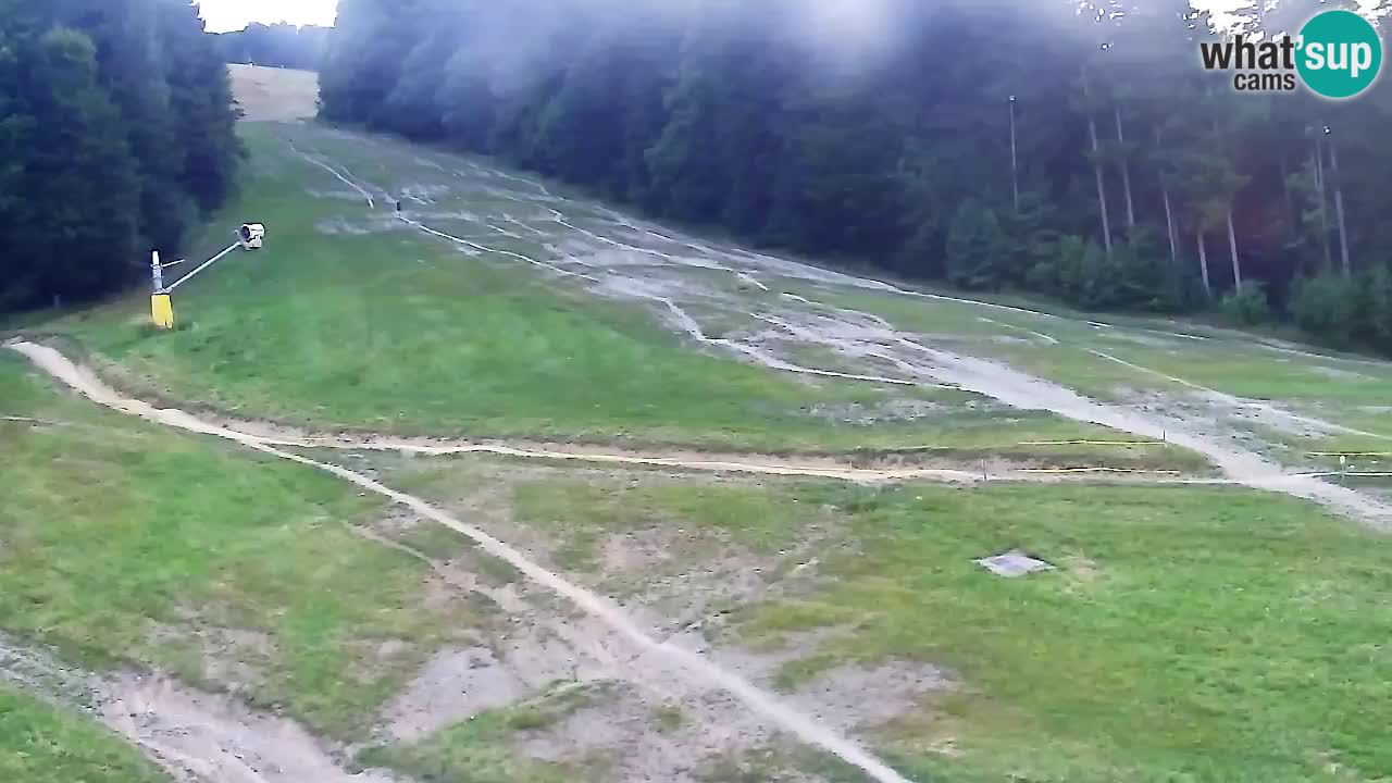 Webcam Pohorje Trikotna Jasa | Poštela