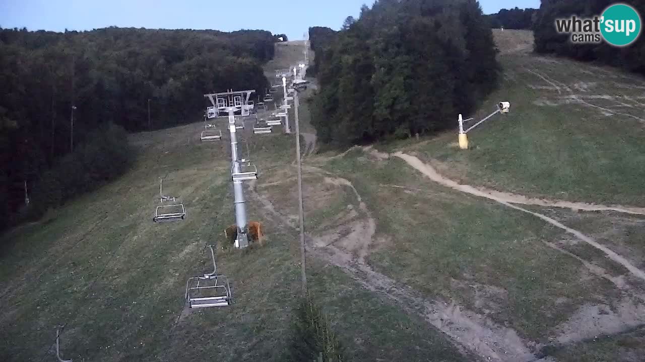 Webcam Pohorje Trikotna Jasa | Poštela