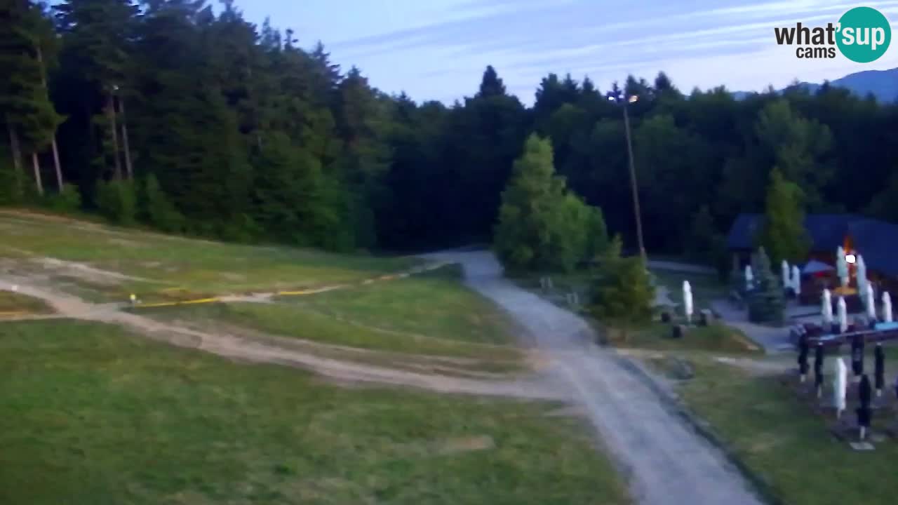 Webcam Pohorje Trikotna Jasa | Poštela