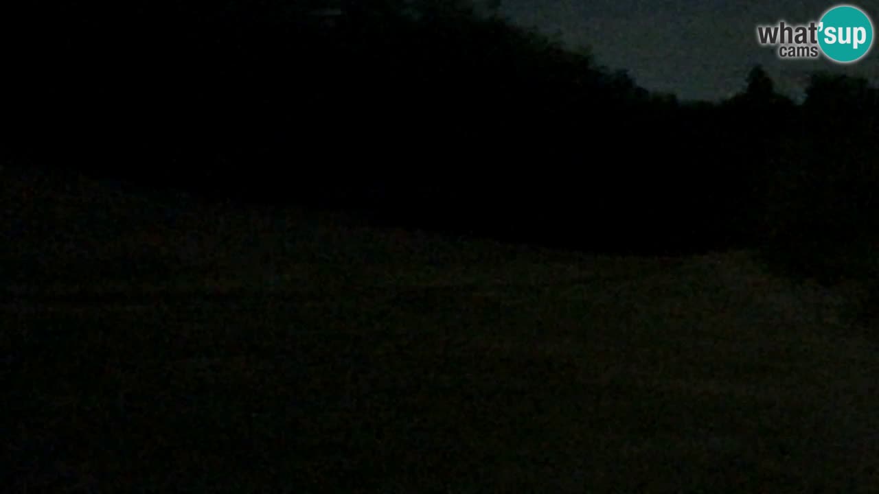 Webcam Pohorje Trikotna Jasa | Poštela