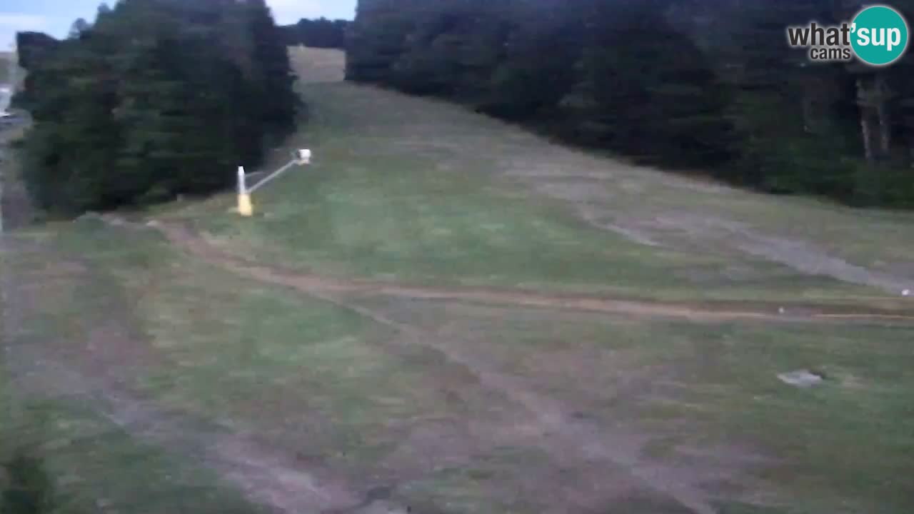 Webcam Pohorje Trikotna Jasa | Poštela