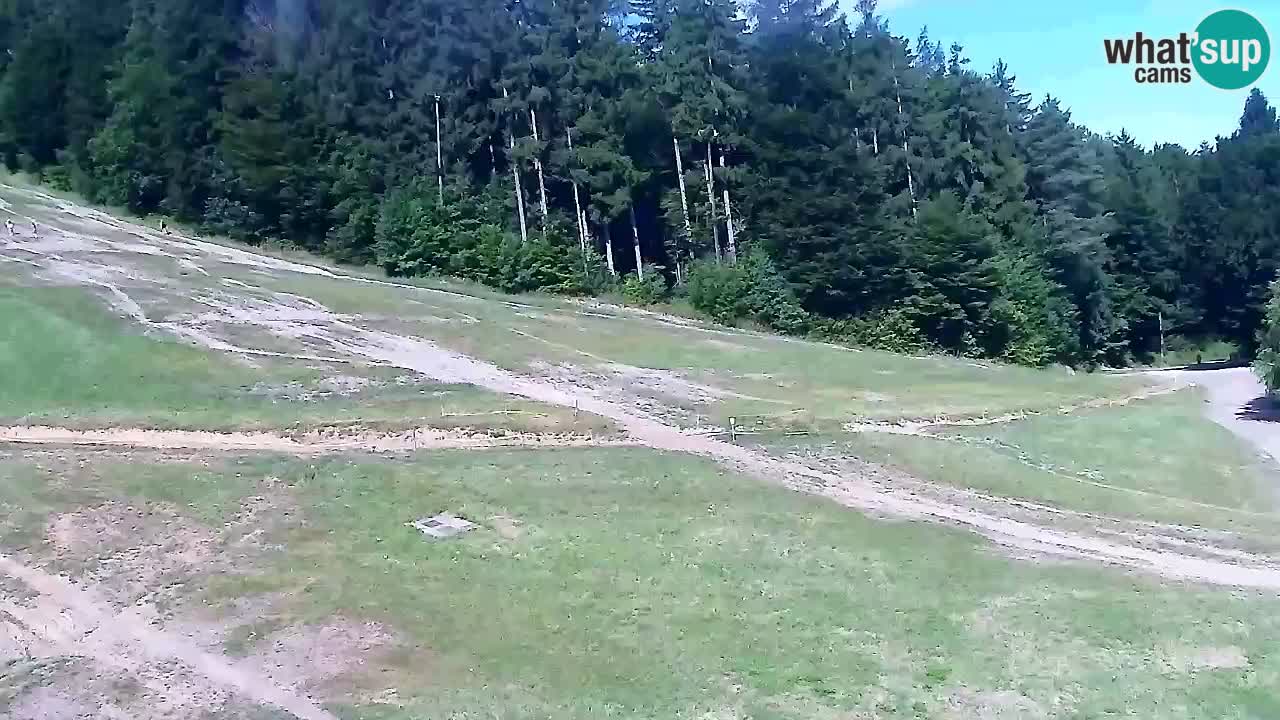 Webcam Pohorje Trikotna Jasa | Poštela