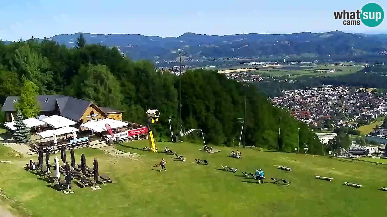 Web Camera Pohorje Trikotna Jasa | Poštela