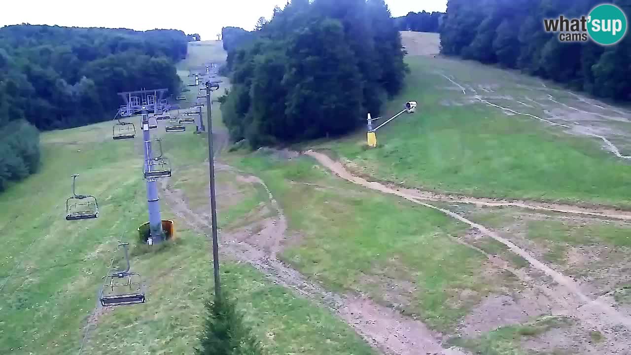 Webcam Pohorje Trikotna Jasa | Poštela