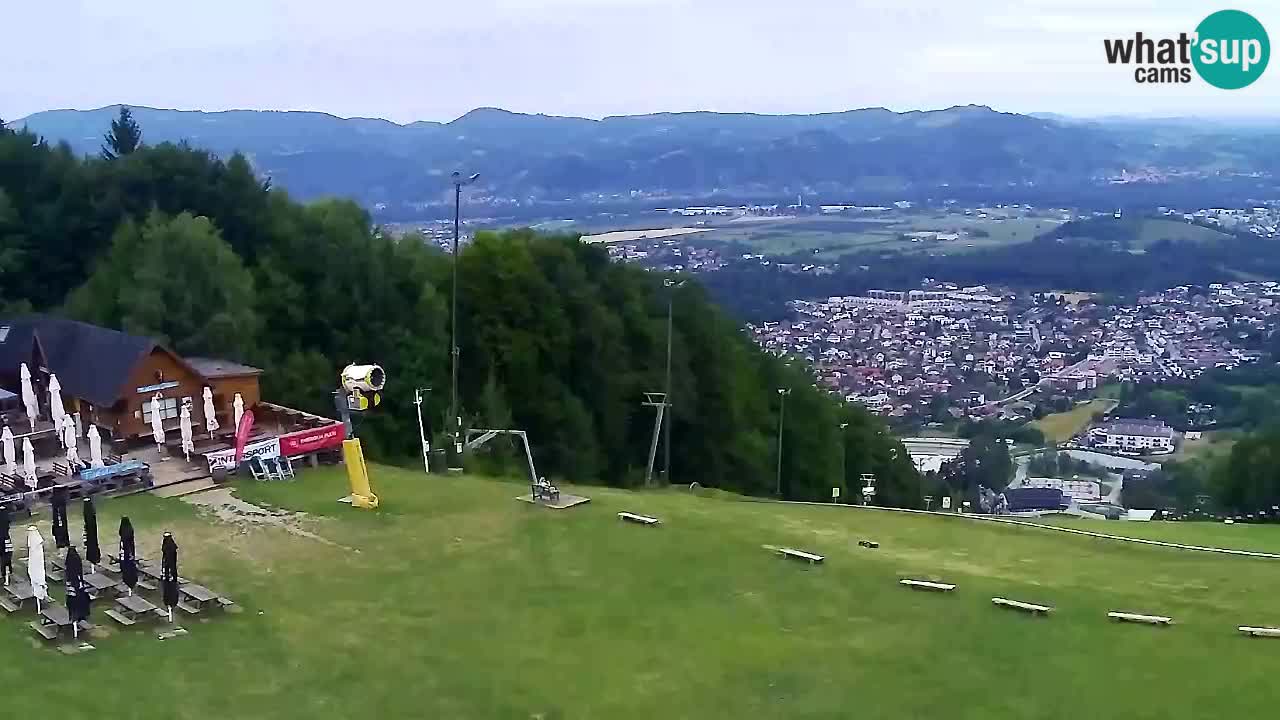 Webcam Pohorje Trikotna Jasa | Poštela