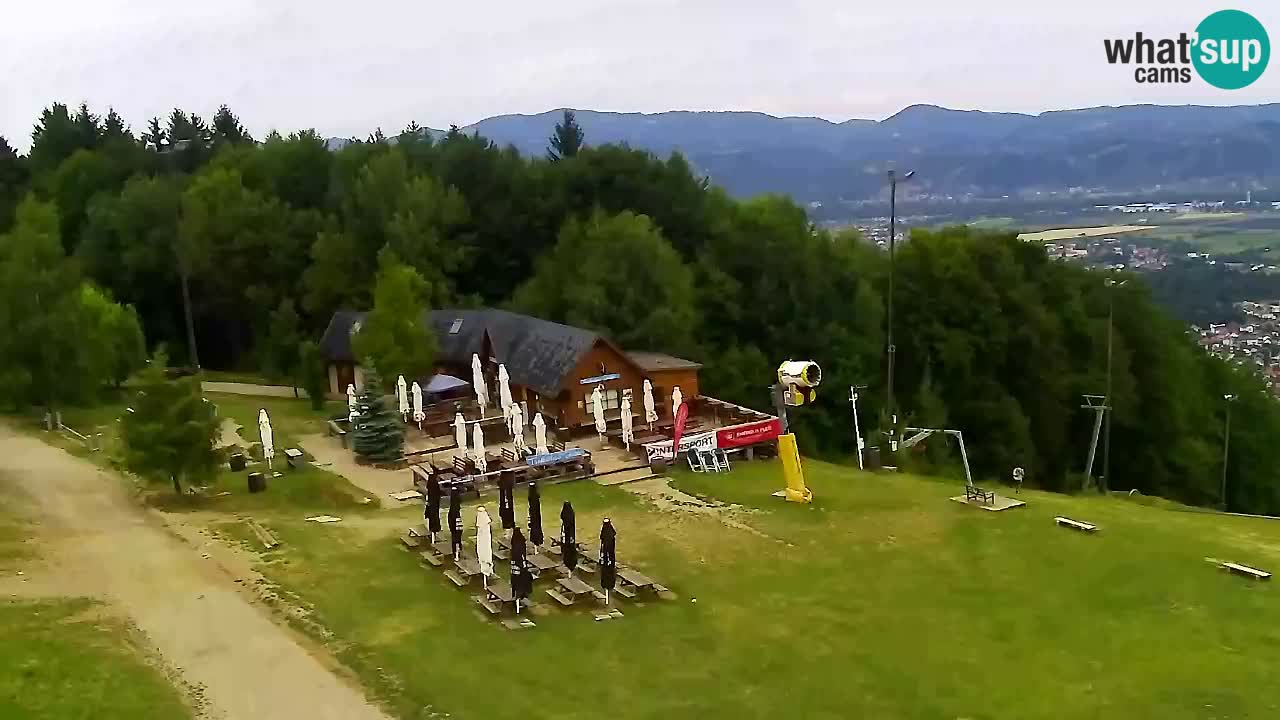 Webcam Pohorje Trikotna Jasa | Poštela