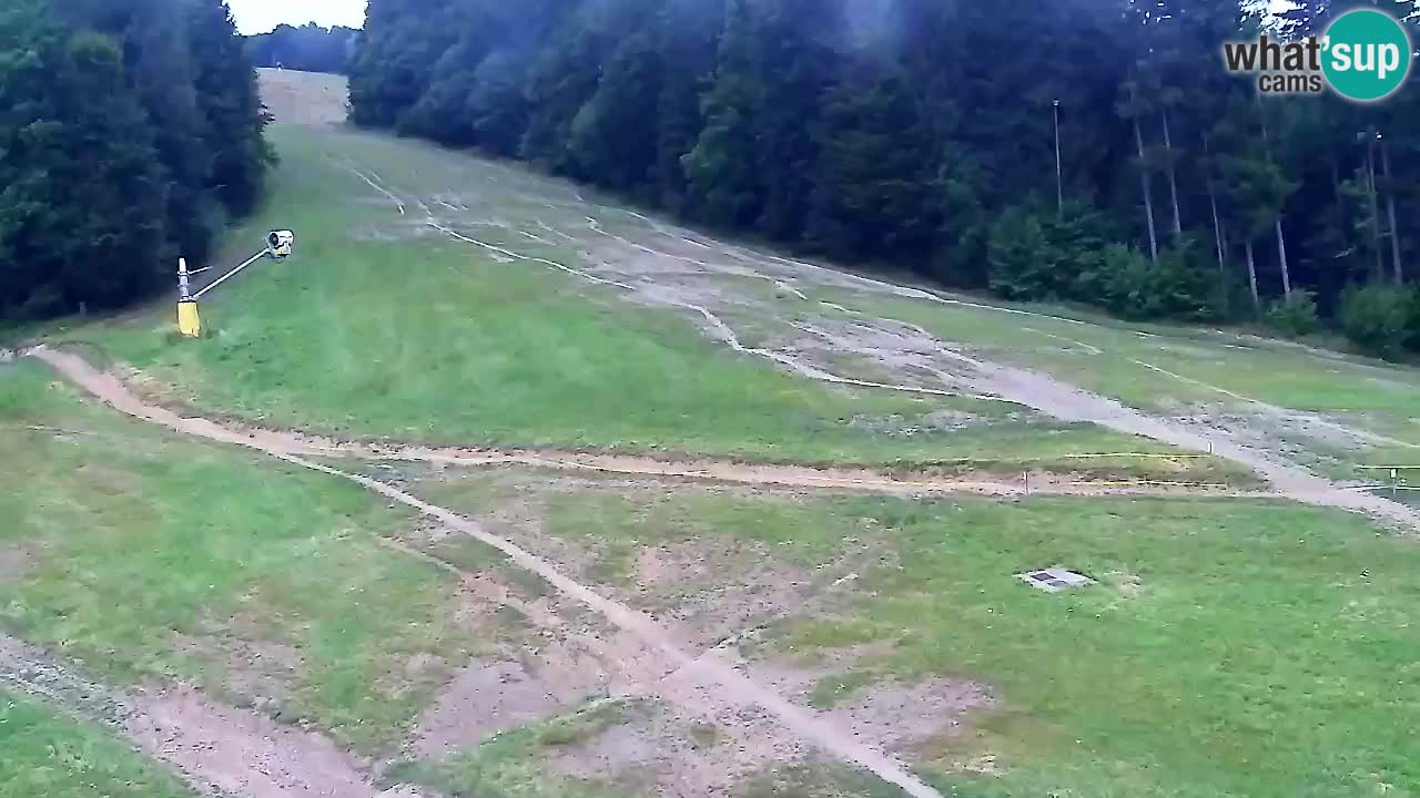 Web Camera Pohorje Trikotna Jasa | Poštela