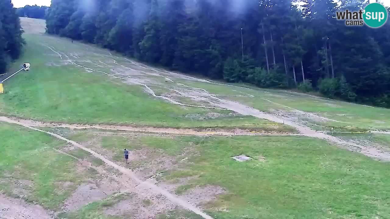Webcam Pohorje Trikotna Jasa | Poštela