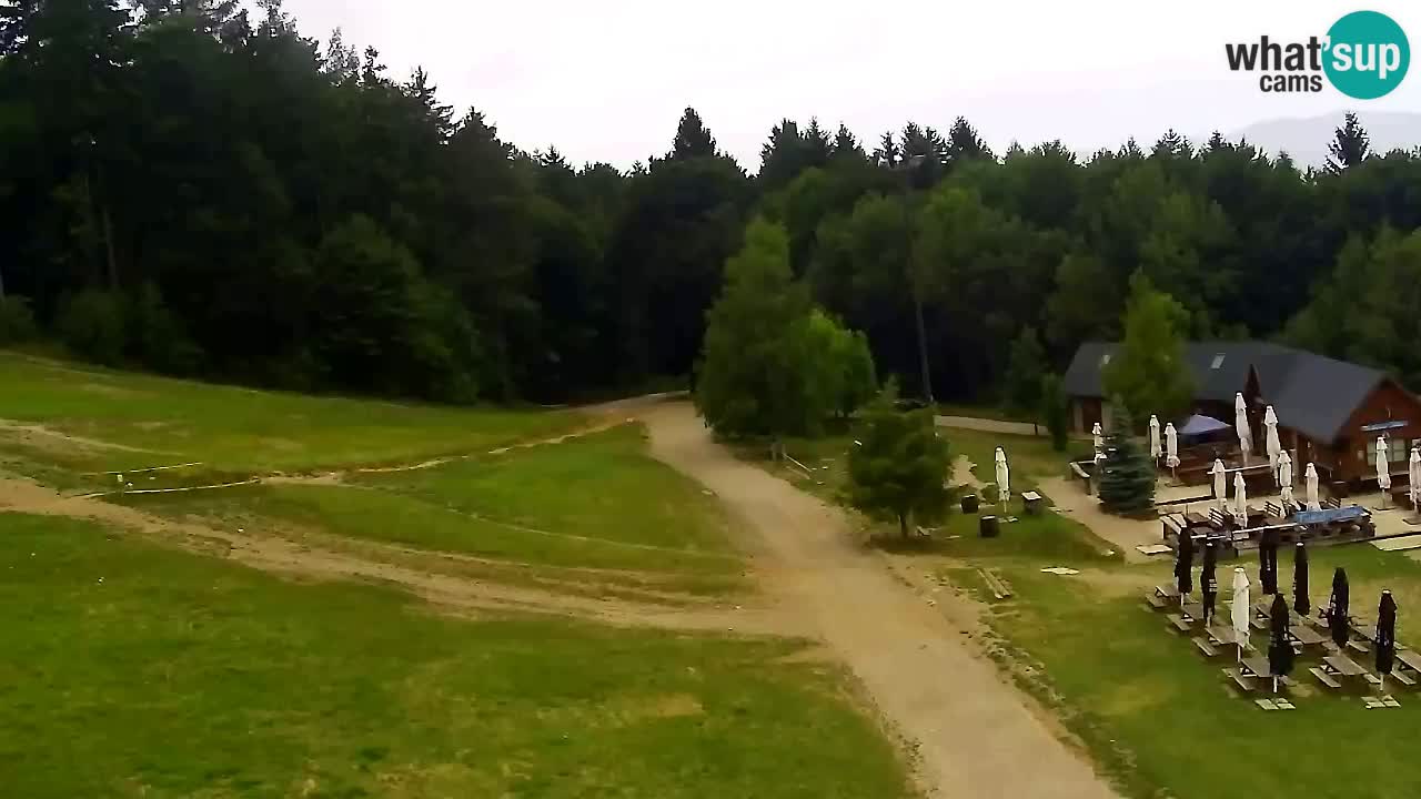 Webcam Pohorje Trikotna Jasa | Poštela