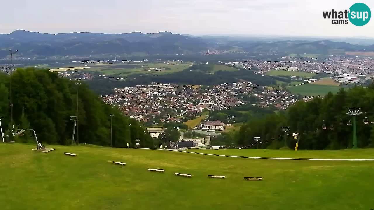 Webcam Pohorje Trikotna Jasa | Poštela