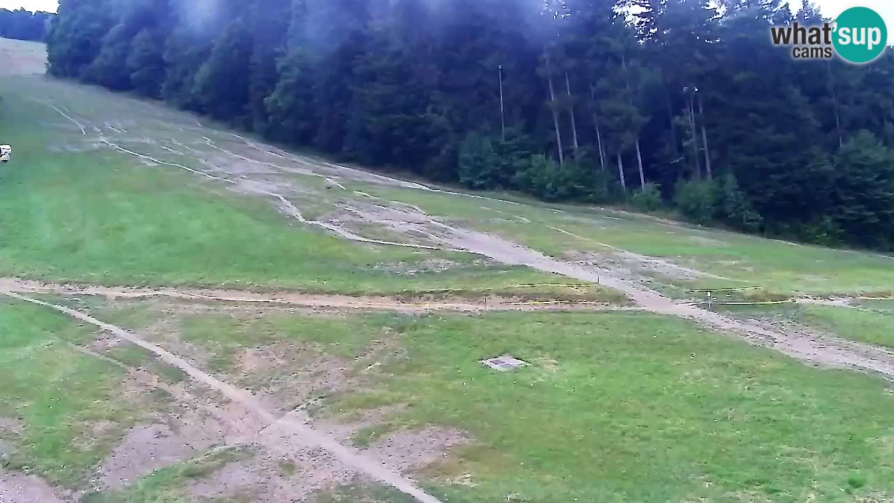Web Camera Pohorje Trikotna Jasa | Poštela